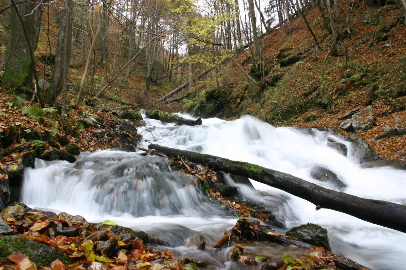 Bistriski Vintgar Slovenia Slovenija Maribor Pohorje Karmen Razlag 1