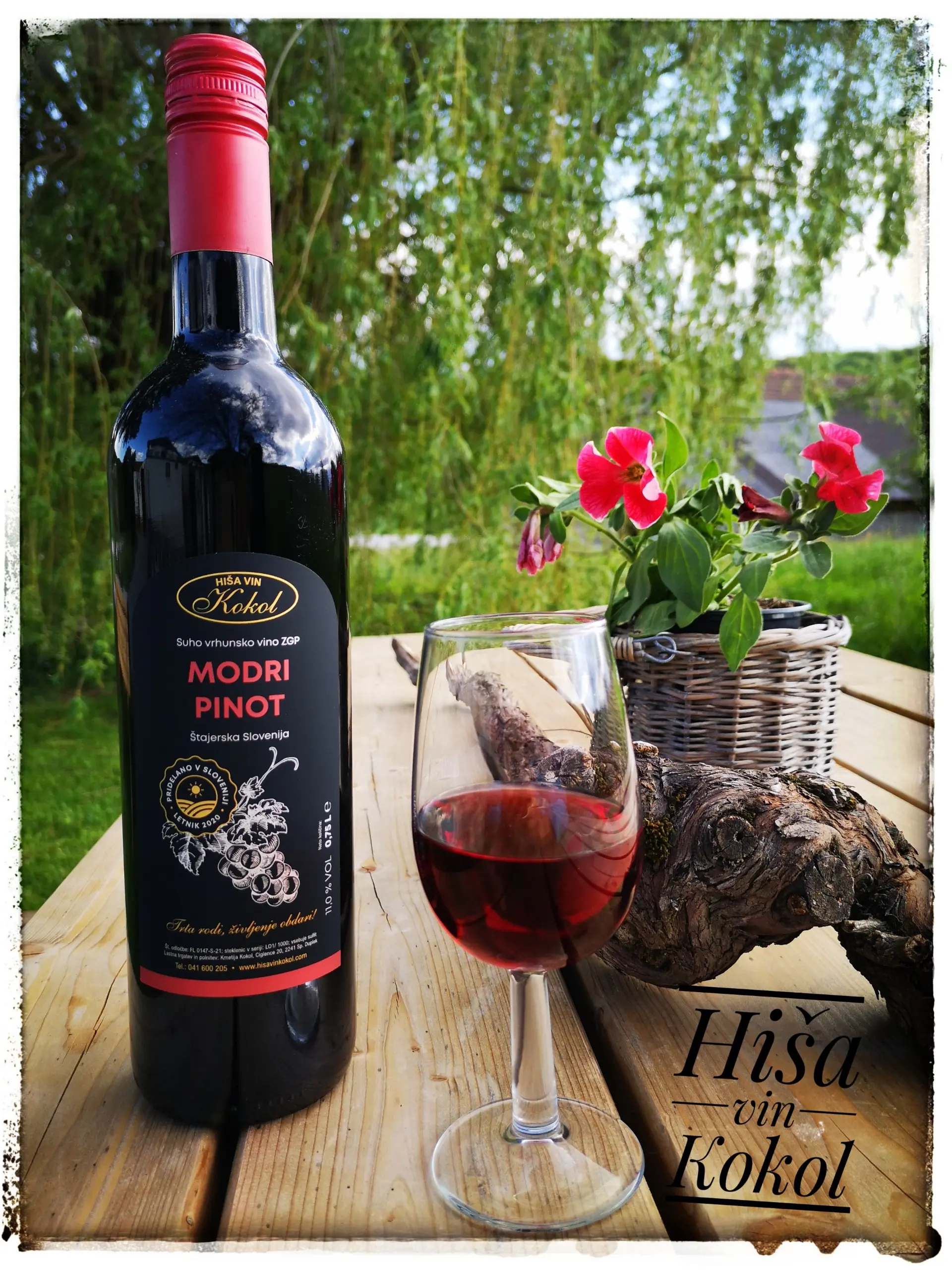 Hisa Vin Kokol Vino