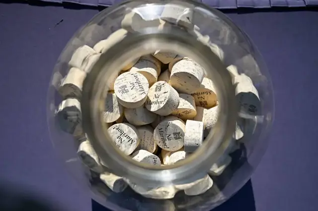 Zasaditev Vinograda Piramida 40
