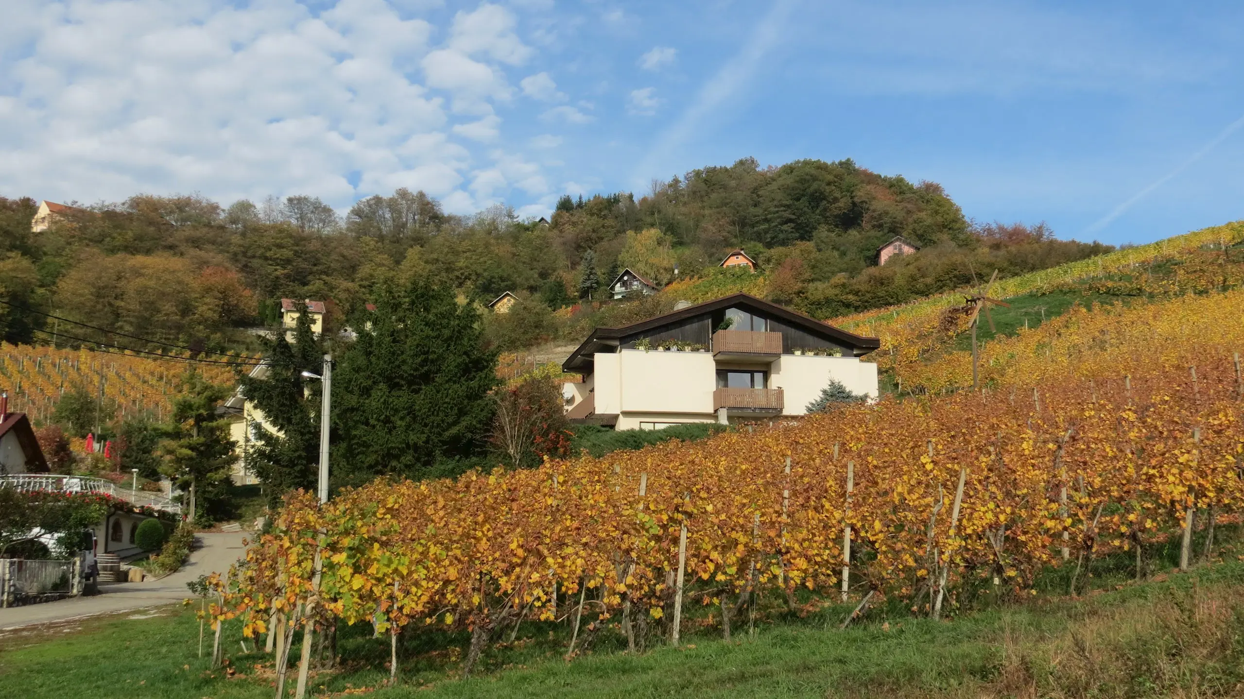 Horvat Vinogradi