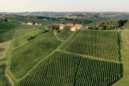 Vina Brac Ko Maribor Pohorje Slovenija Slovenia Arhiv Vina Brac Ko