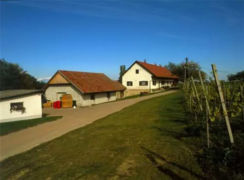 Vinogradnistvo Kraner Plateis Slovenia Slovenija Maribor Pohorje Vladimir Tos 1