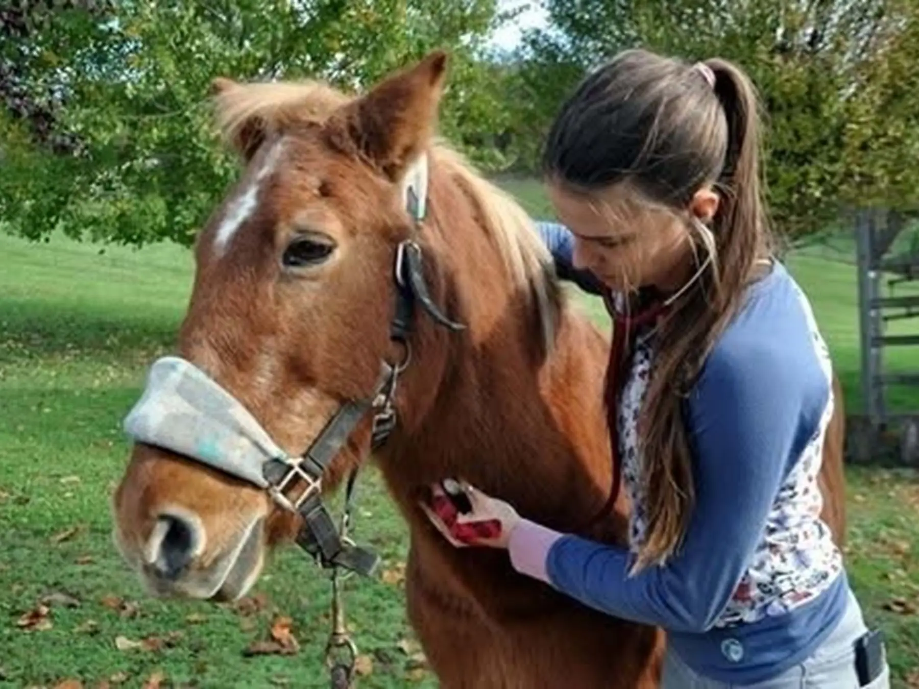 Veterinarska Delavnica Za Otroke (8+) 2026