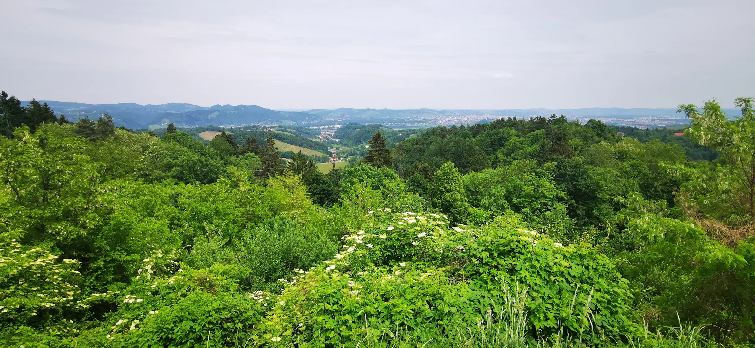 Univerza V Mariboru Fakulteta Za Kmetijstvo In Biosistemske Vede Meranovo Maribor Pohorje Slovenija Slovenia Karmen Razlag 3