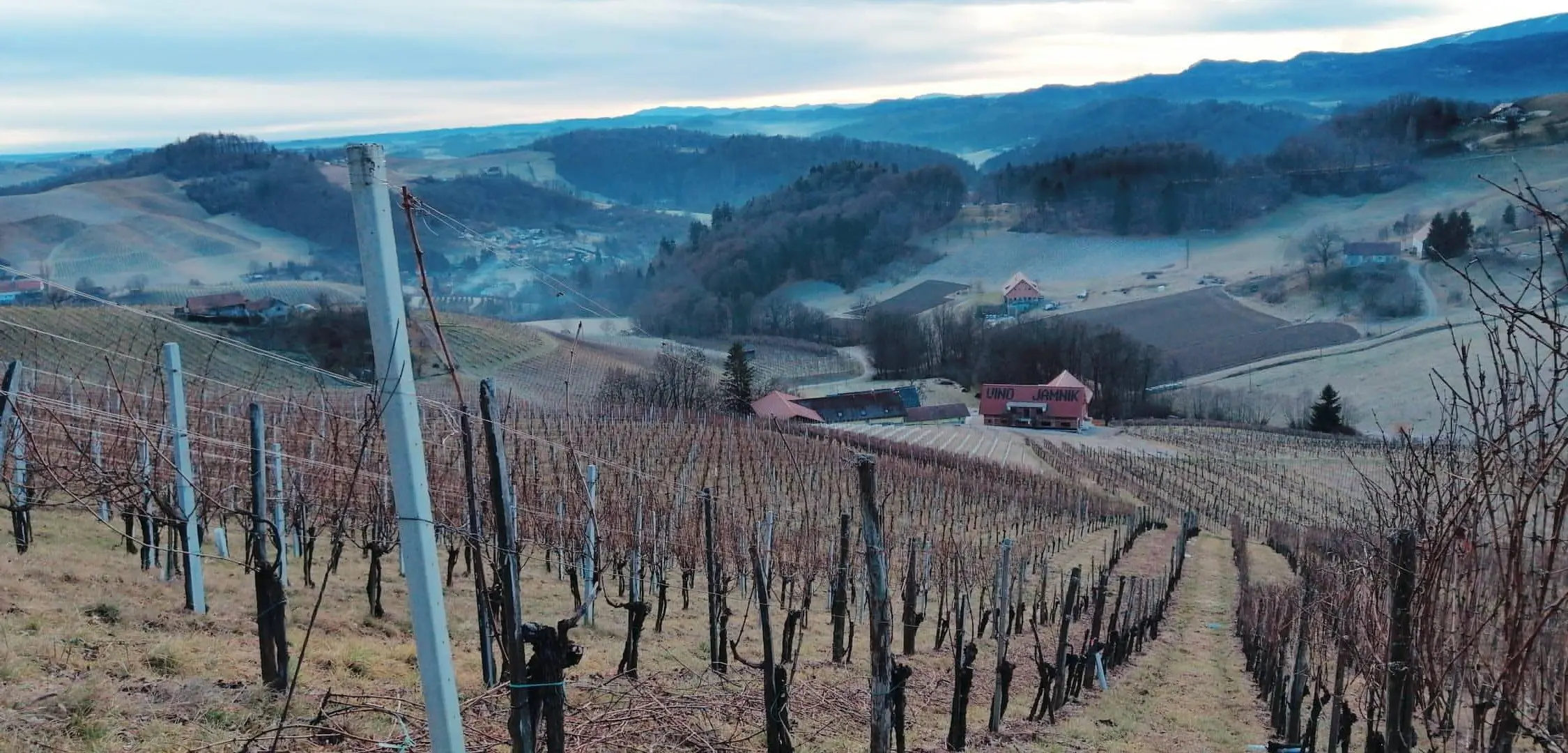 Vino Jamnik Maribor Pohorje Slovenija Slovenia Arhiv Vino Jamnik 1