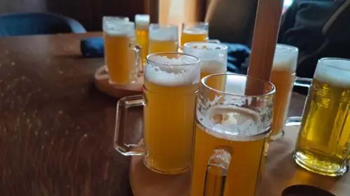Pubgaambrinus Visit Maribor Pohorje Slovenia Slovenija 3