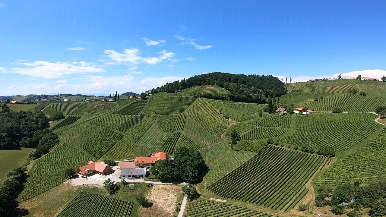 Vino Jamnik Maribor Pohorje Slovenija Slovenia Arhiv Vino Jamnik 3