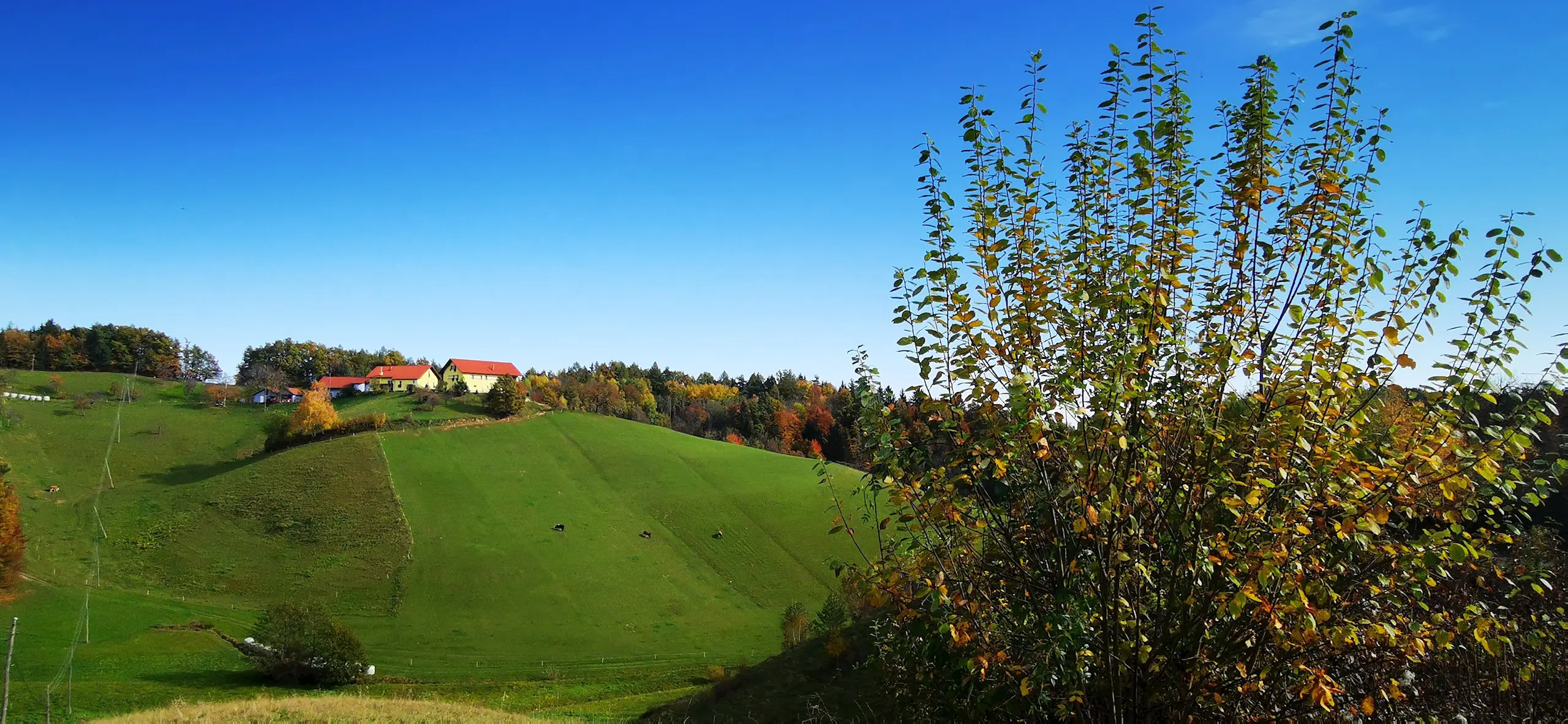 Gaj Nad Mariborom Maribor Pohorje Slovenija Slovenia Karmen Razlag 13