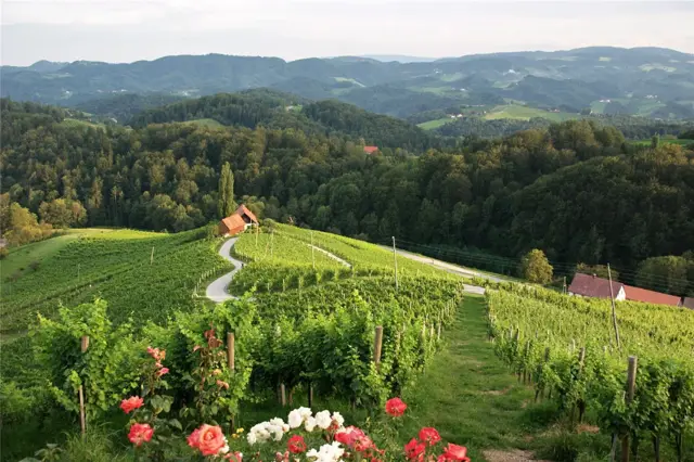 Dreisiebner Srce Slovenia Slovenija Maribor Pohorje Karmen Razlag