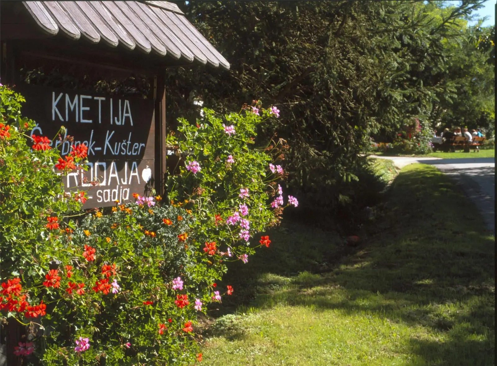 Vinogradnistvo In Sadjarstvo Serbinek Kuster Slovenia Slovenija Maribor Pohorje Vladimir Tos 4