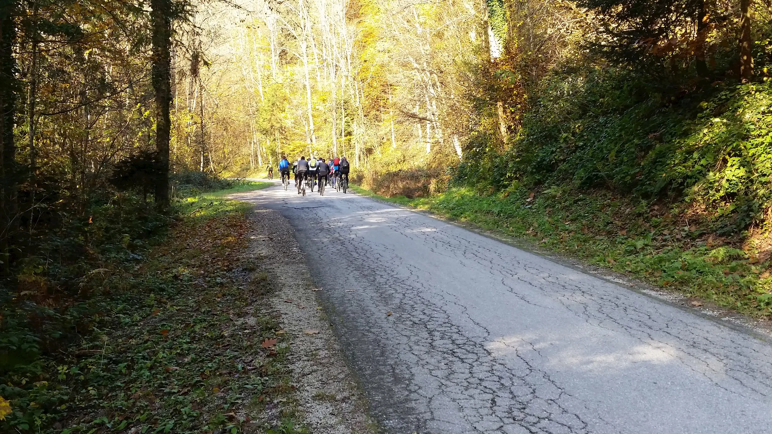 Lobniska Riza Ride Rus E Simon Potrc