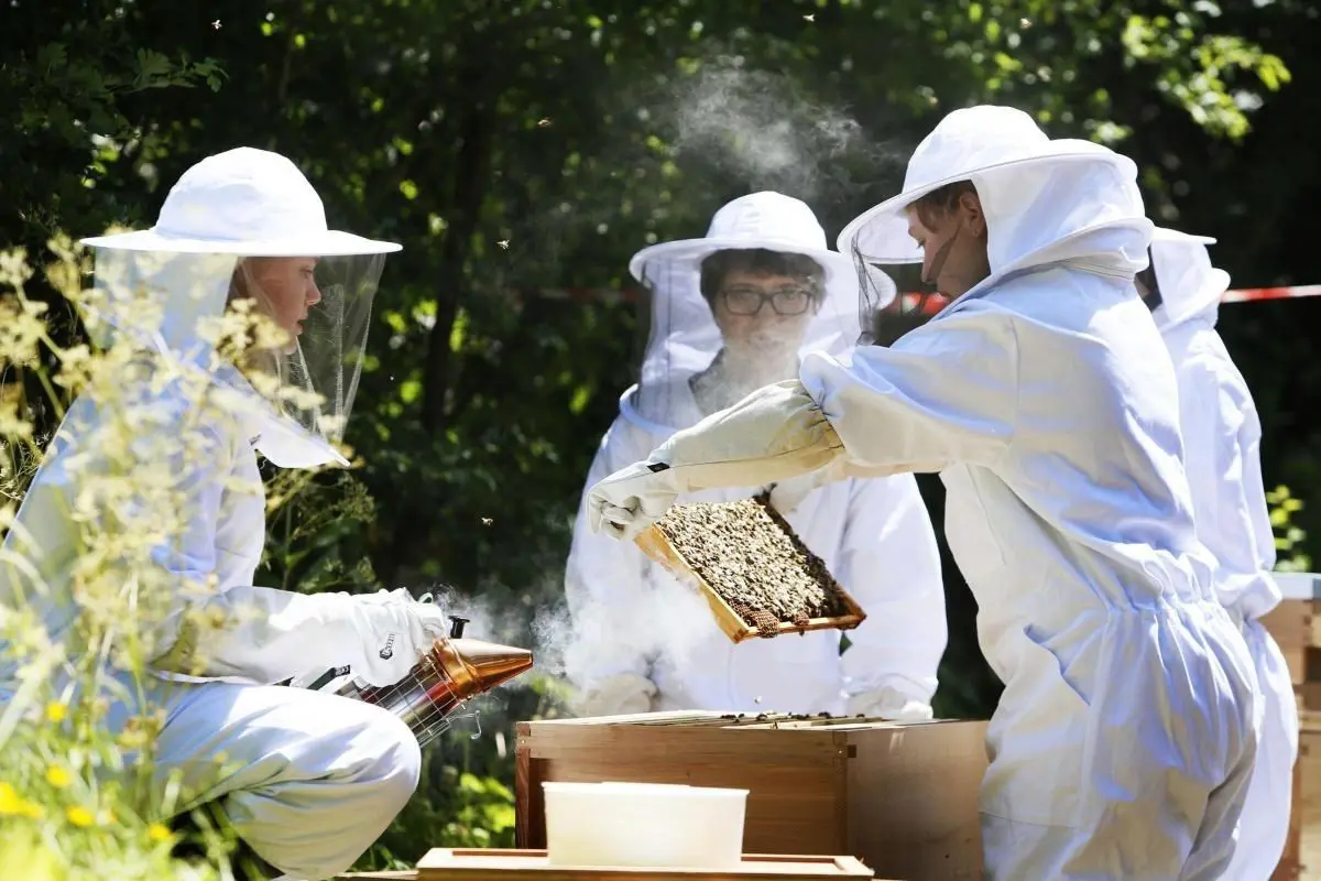 Beekeeping1