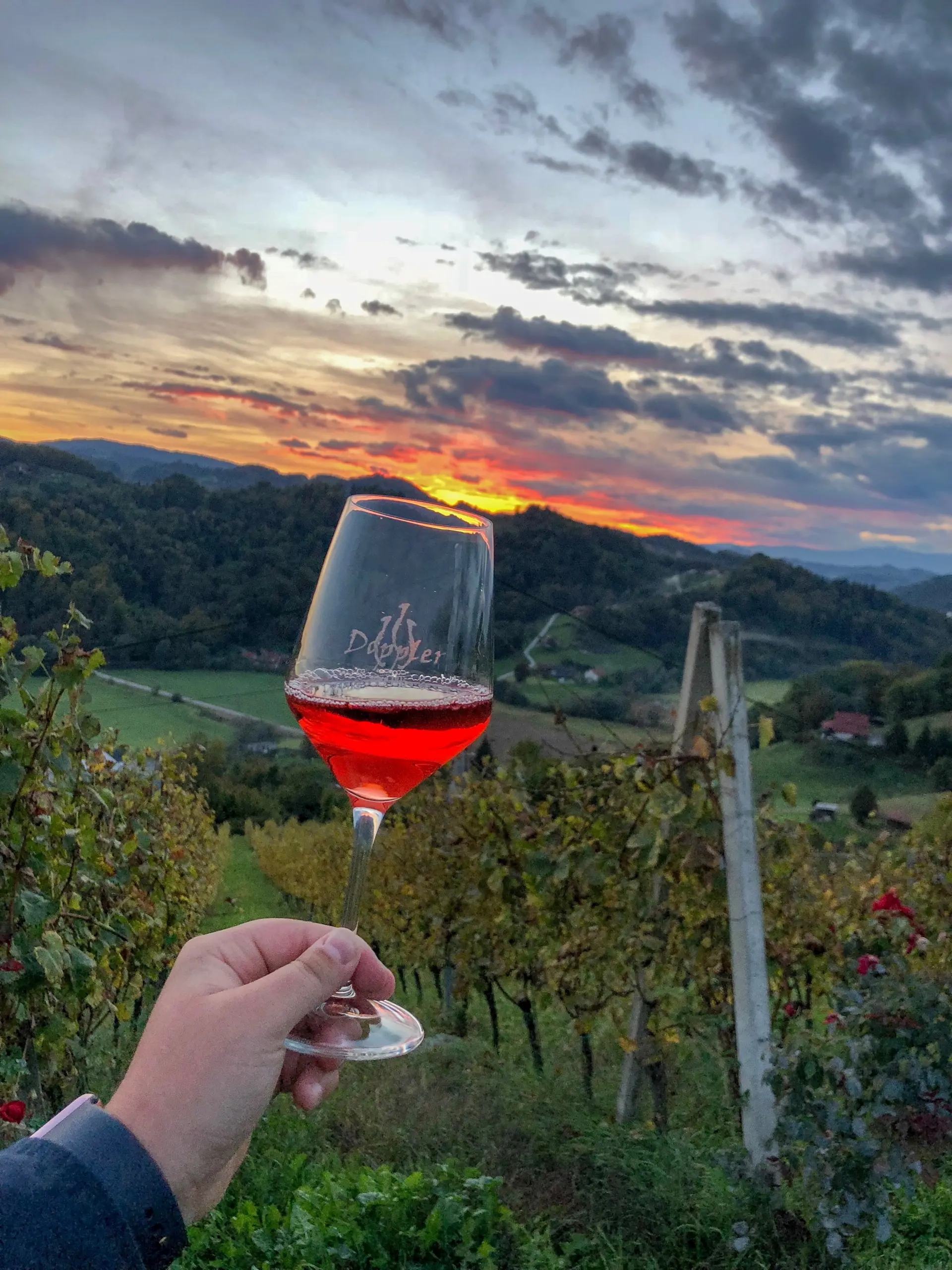 Hisa Vina Doppler Maribor Slovenia Arhiv Hisa Vina Doppler 03