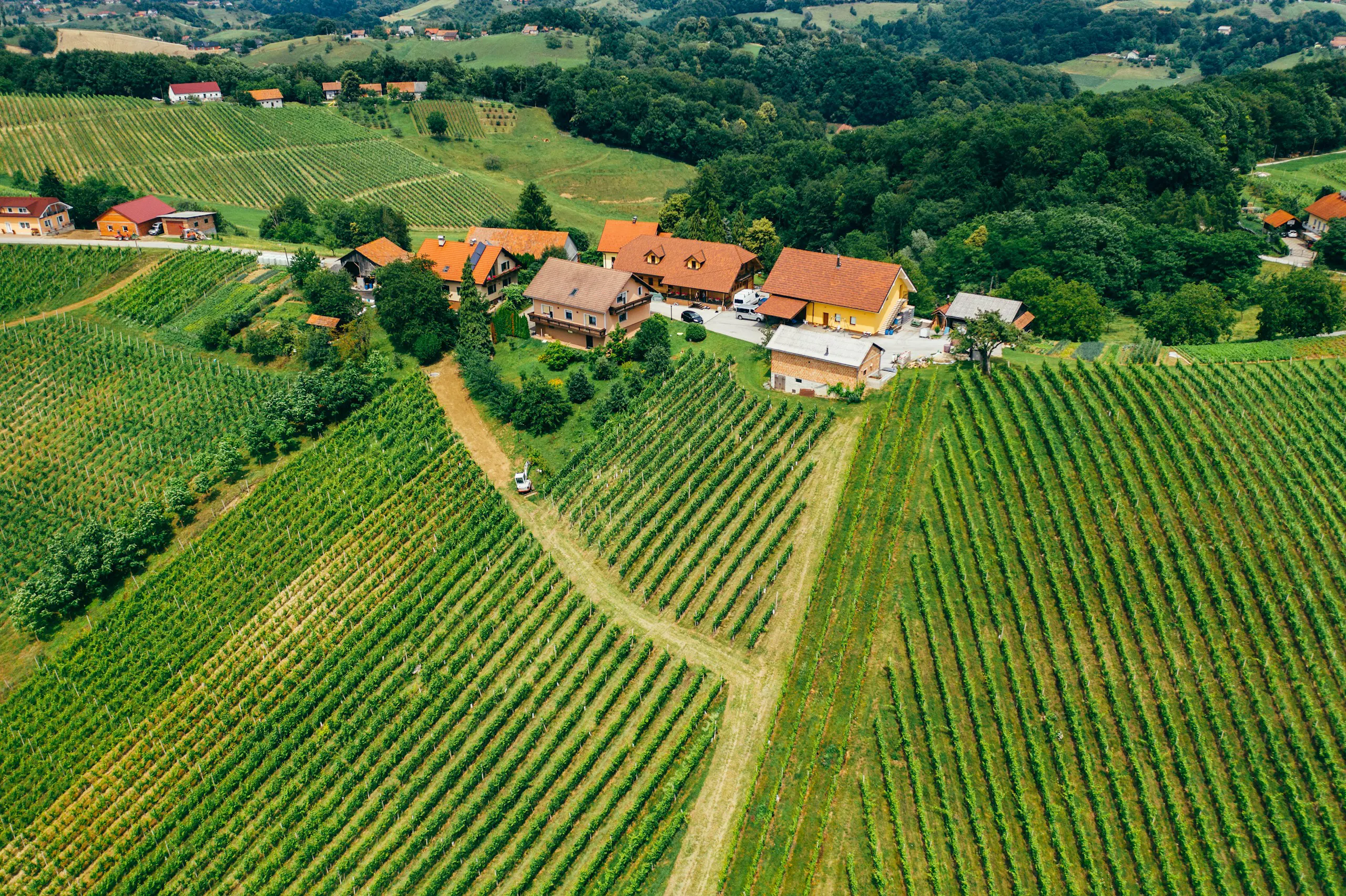 Vina In Turizem Bracko Jakobski Dol Maribor Pohorje Slovenia Slovenija 9