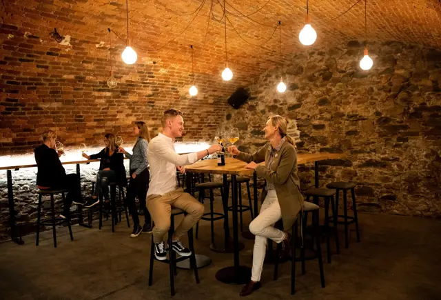 Vinski Bar Levino Maribor Pohorje Slovenija Slovenia Vid Ponikvar 03