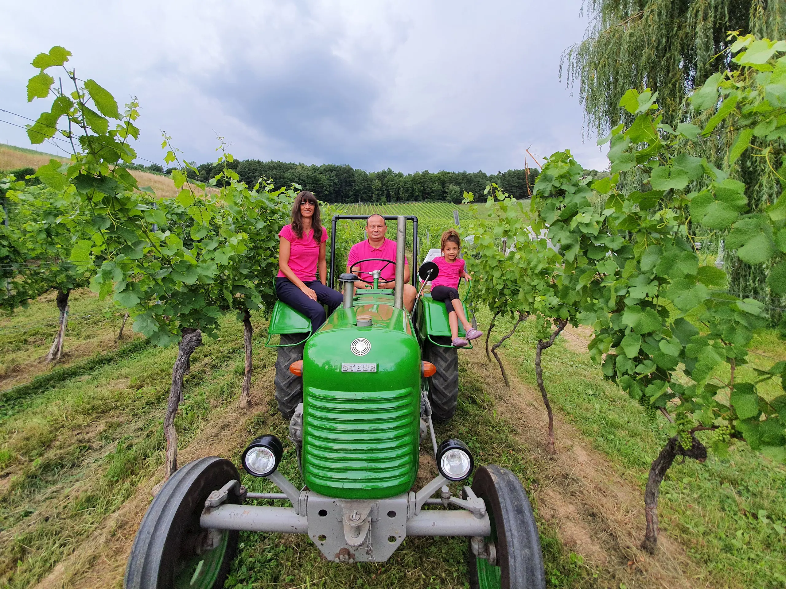 Hisa Vin Kokol Maribor Pohorje Slovenija Slovenia Petra N Ploj
