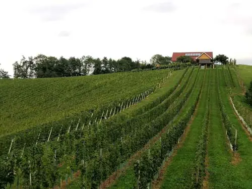 Turisticna Kmetija Lilek Visit Maribor Pohorje Slovenia 4